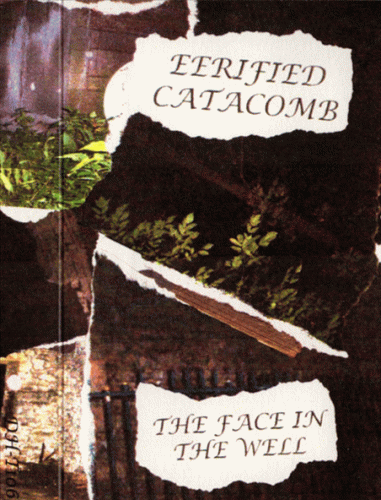 Eerified Catacomb : The Face in the Well